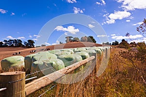 Hay bales, Australia