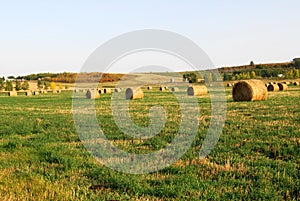 Hay bales on autumn field