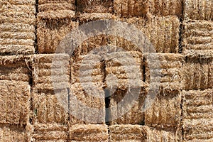 Hay bales background photo