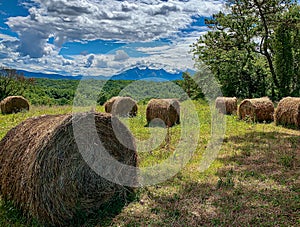 Hay bales on a beautiful summertime day on the Via Francigena, Lunigiana, Tuscany, Italy. photo