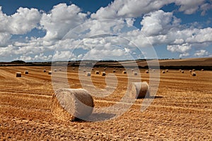 Hay bales, Bere Regis, Dorset, UK