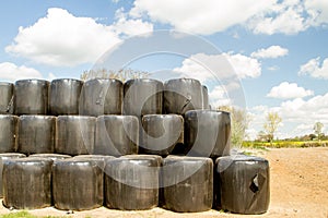 Hay Bales in Black Plastic Wrap