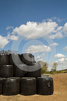 Hay Bales in Black Plastic Wrap