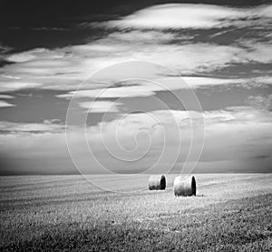 Hay Bales Black and White