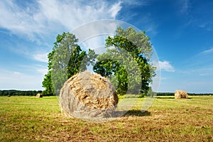 Hay bales with blue sky