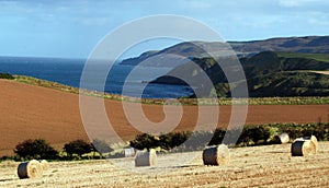 Hay bales on coastline