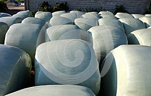 Hay bales coating with plastic film for protection in case of ba