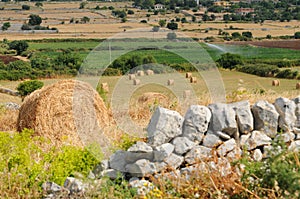 Hay bales in countryside