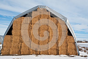 Hay bales covered for storage photo