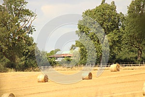Hay bales croped and rolled