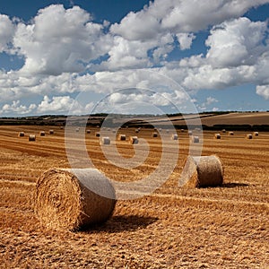 Hay bales, Dorset, UK