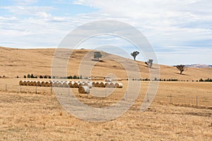 Hay bales on dry Australian farm landscape
