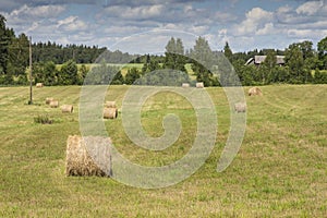 Hay bales on farm field