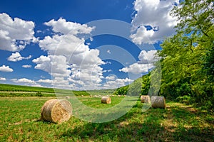 Hay bales on the farmfield near the forest, Hungary photo