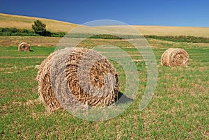 Hay Bales on Farmland