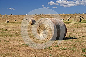 Hay Bales on Farmland