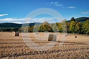 Hay Bales in a Field