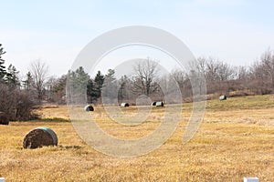 Hay Bales in Field