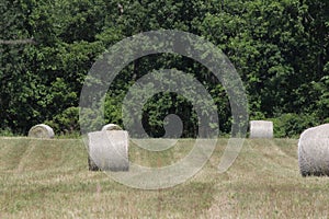 Hay Bales in Field