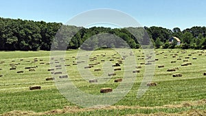 Hay bales in field