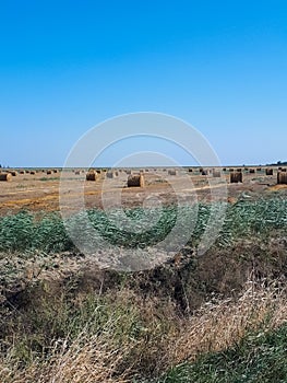 Hay and bales of hay on the field against blue sky