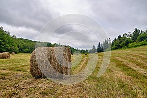 Hay Bales On A Field, Atlantic Canada