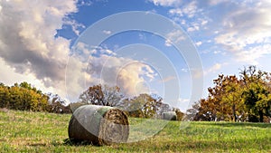 Hay bales in a field in autumn landscape