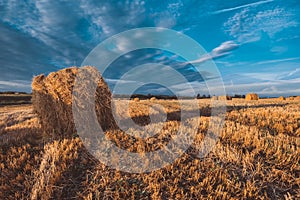 Hay bales on field in autumn weather.