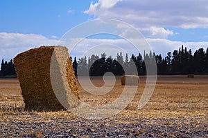 Hay bales in the field below white clouds, Menashe mountains, north Israel