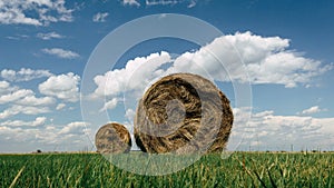 Hay bales in a field on a cloudy summers day.