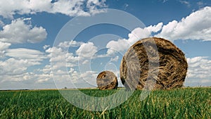 Hay bales in a field on a cloudy summers day.