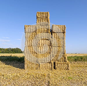 Hay bales in a field after the fresh harvest