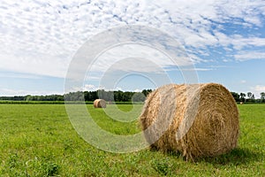 Hay Bales in Field