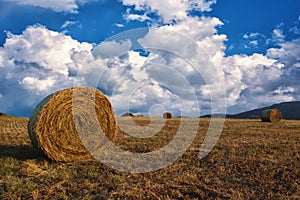 Hay bales on the field after harvest, a clear day. Blue sky, white clouds.