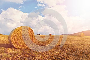 Hay bales on the field after harvest, a clear day. Blue sky, white clouds. Sun, sun haze, glare.