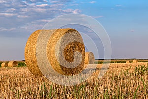 Hay bales on the field after harvest