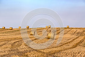 Hay bales on the field after harvest