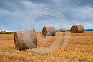 Hay bales on the field after harvest