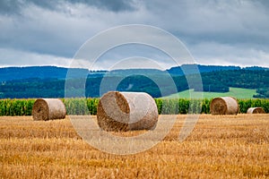 Hay bales on the field after harvest