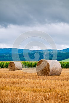 Balíky sena na poli po zbere úrody