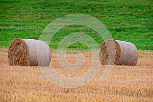 Hay bales on the field after harvest