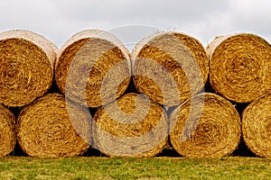 Hay bales on the field after harvest.