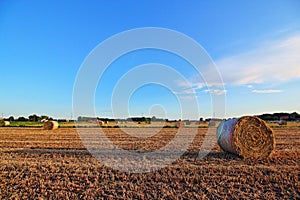 Hay bales field