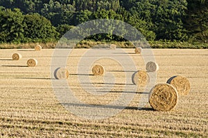 Hay bales in a field in late summer