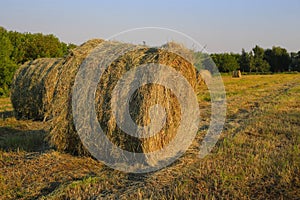 Hay bales in a field lit by the setting sun