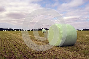 Hay bales on the field packed in green plastic film