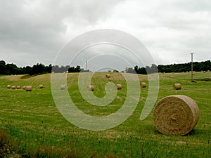 Hay bales field