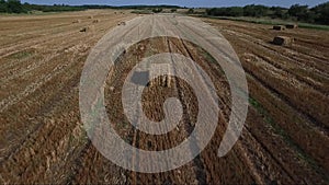 Hay bales on field , seno