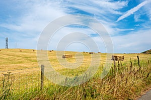 Hay bales in a field. Shropshire, England