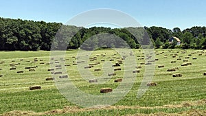 Hay bales in field photo